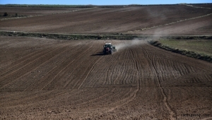 Kayseri'de sertifikalı buğday ve arpa tohumları toprakla buluştu