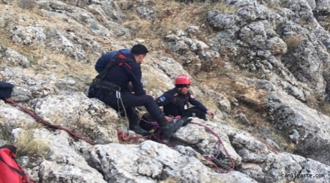Kayseri'de uçurumda mahsur kalan keçi 3 saatlik çalışmayla kurtarıldı