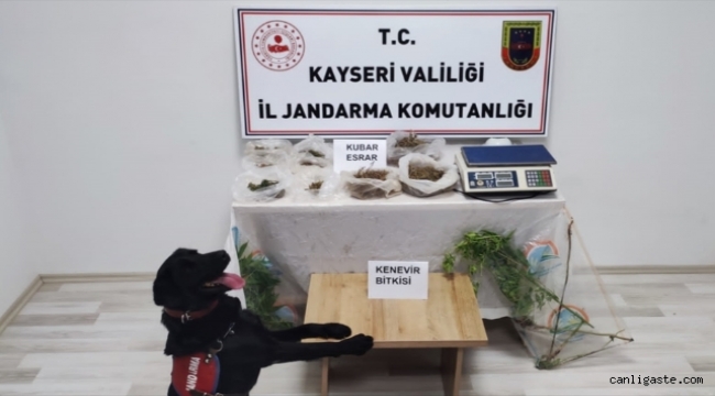 Kayseri'de uyuşturucu operasyonu: 1 şüpheli yakalandı
