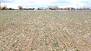 Konya'da çiftçiler yağmur duası yaptı