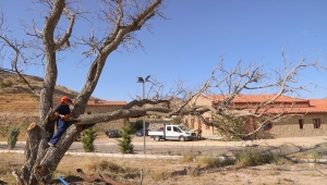 Nevşehir'de budanan ağaç dalları ihtiyaç sahiplerine yakacak oldu