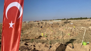 Nevşehir, Kırşehir ve Kayseri'de fidanlar toprakla buluşturuldu