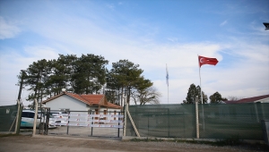 Odunpazarı Belediyesinin barınağında bazı köpeklerin öldüğü iddiasına idari soruşturma 