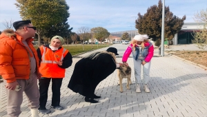 Şarkıcı Tuğba Özay'dan Konya'daki hayvan barınağına ziyaret