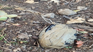 Şırnak'ta "Şehit Jandarma Teğmen İsmail Can Akdeniz Operasyonu" başlatıldı