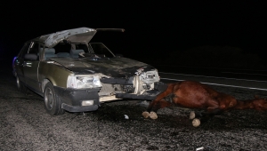 Sivas'ta ata çarpan otomobildeki 5 kişi yaralandı 