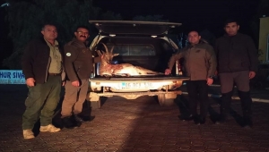 Sivas'ta yaban keçisi avlayan 4 kişiye para cezası kesildi