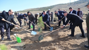Sivrihisar'da fidanlar toprakla buluşturuldu