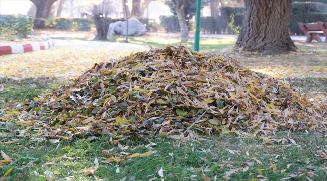 Sorgun Belediyesi, sonbaharda dökülen yaprakları gübreye dönüştürüyor