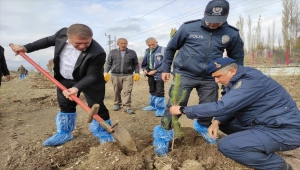 Ulaş'ta 10 bin fidan toprakla buluşturuldu