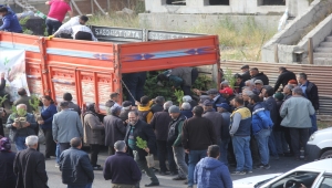 Zara'da vatandaşlara 5 bin fidan dağıtıldı