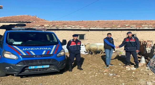 Aksaray'da kayıp koyunları jandarma drone ile buldu