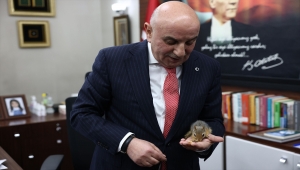 Başkentte evde beslenen sincap koruma altına alındı