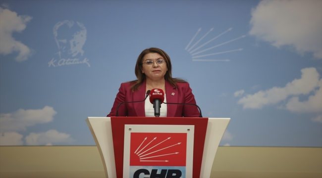 CHP Genel Başkan Yardımcısı Karaca'dan "Dünya İnsan Hakları Günü" açıklaması: