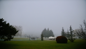 Eskişehir'de yoğun sis, görüş mesafesini düşürüyor