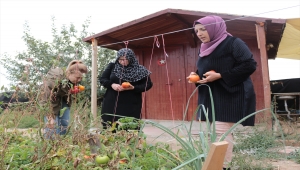 Evinin bahçesinde "ata tohumu" yetiştiren kadın girişimci kooperatif kurdu
