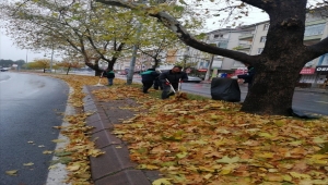 Kayseri'de dökülen ağaç yaprakları gübreye dönüştürülüyor