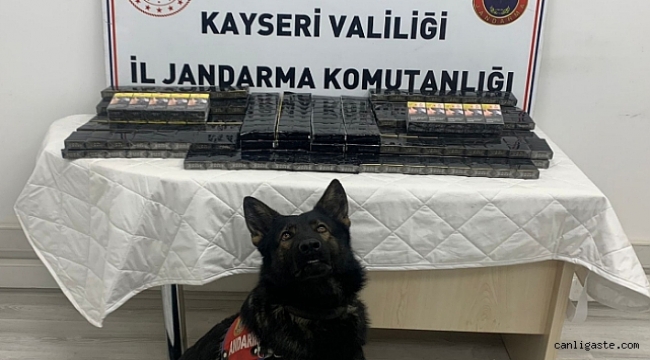Kayseri'de tır dorsesinde 350 paket kaçak sigara ele geçirildi