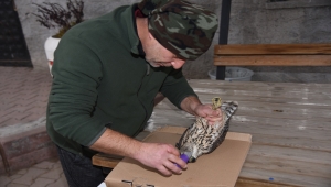 Kırıkkale'de yaralı halde bulunan saz delicesi tedavi altına alındı