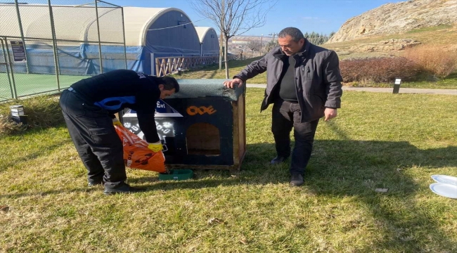 Kırşehir'de yaban hayvanlarına barınma ve beslenme desteği sağlandı