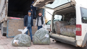 Konya Büyükşehir Belediyesi'nin lavanta fidesi desteği devam ediyor