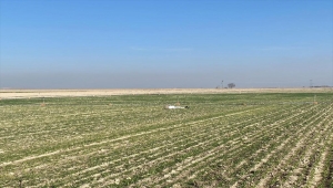 Konya'da bir kişi tarlada ölü bulundu