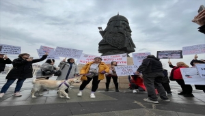 Konya'da hayvanseverlerden "Sokak hayvanları sahipsiz değildir" sloganıyla basın açıklaması