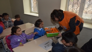 LÖSEV'in çiftliğindeki mandalinalar köy okullarındaki çocuklara ulaştırılıyor