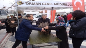 Mahmudiye'de üreticilere 11 bin lavanta fidesi dağıtıldı