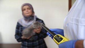 Nevşehir'de 3 bin 200 ev hayvanı kayıt altına alındı