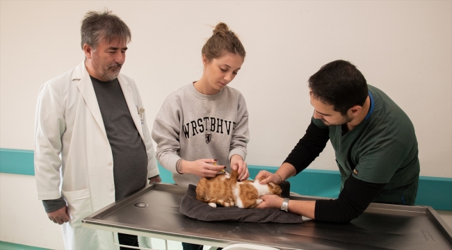 Selçuk Üniversitesi Veteriner Fakültesinde bu yıl 20 bin 250 hayvanın tedavisi yapıldı