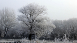 Sivas'ta sis ve soğuk hava etkili oldu